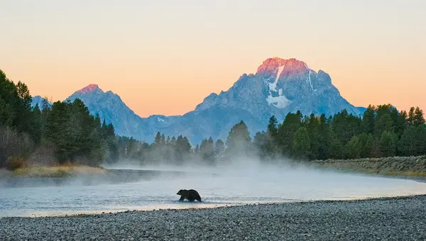 The Art of Wildlife Photography with Tom Mangelsen